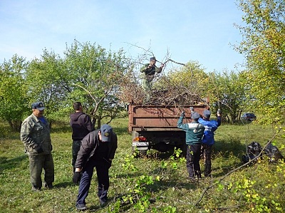 суб1